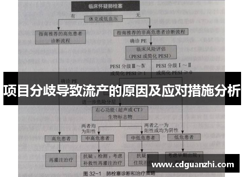 项目分歧导致流产的原因及应对措施分析